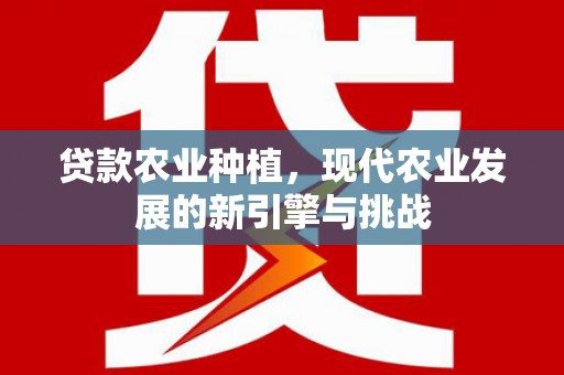 云霄贷款农业种植，现代农业发展的新引擎与挑战
