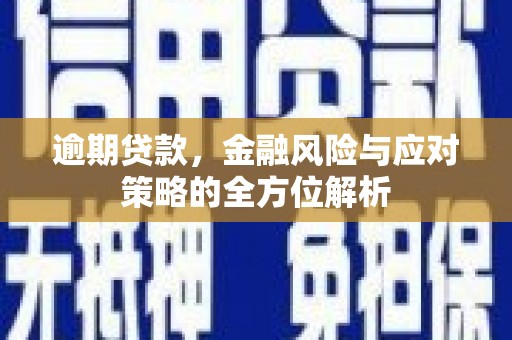 云霄逾期贷款，金融风险与应对策略的全方位解析