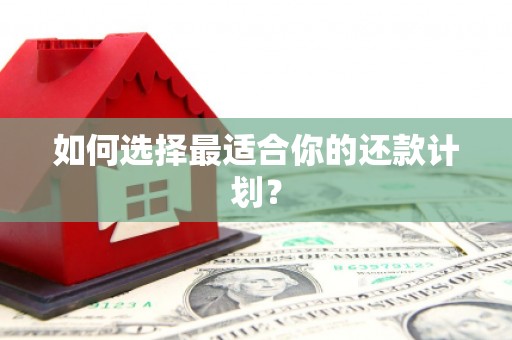 云霄如何选择最适合你的还款计划？