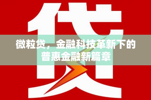 云霄微粒贷，金融科技革新下的普惠金融新篇章