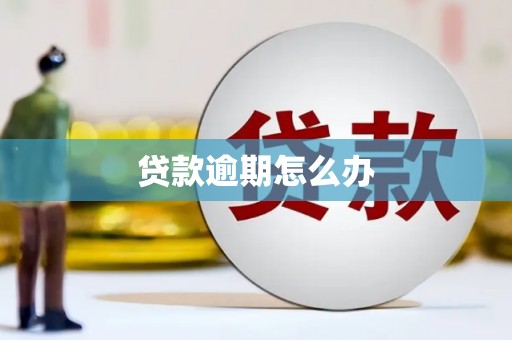 云霄贷款逾期怎么办