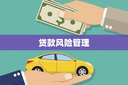 云霄贷款风险管理