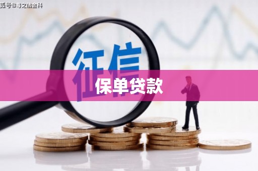 云霄保单贷款