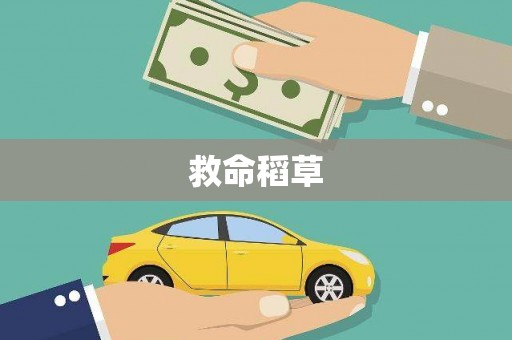 云霄救命稻草