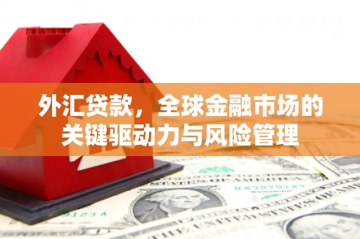 云霄外汇贷款，全球金融市场的关键驱动力与风险管理