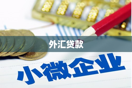 云霄外汇贷款