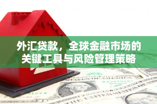 云霄外汇贷款，全球金融市场的关键工具与风险管理策略