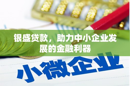 云霄银盛贷款，助力中小企业发展的金融利器
