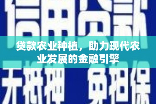 云霄贷款农业种植，助力现代农业发展的金融引擎