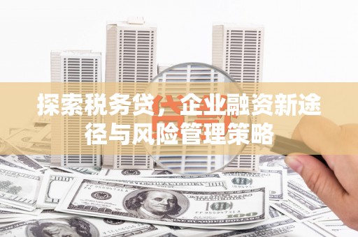 云霄探索税务贷，企业融资新途径与风险管理策略