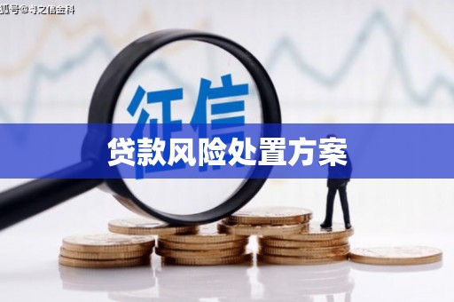 云霄贷款风险处置方案