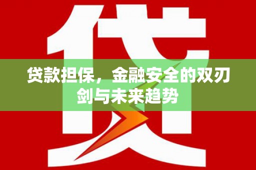 云霄贷款担保，金融安全的双刃剑与未来趋势