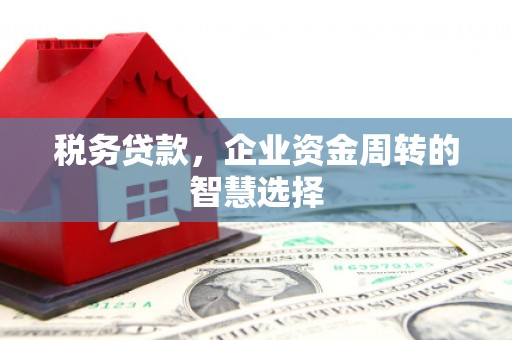 云霄税务贷款，企业资金周转的智慧选择