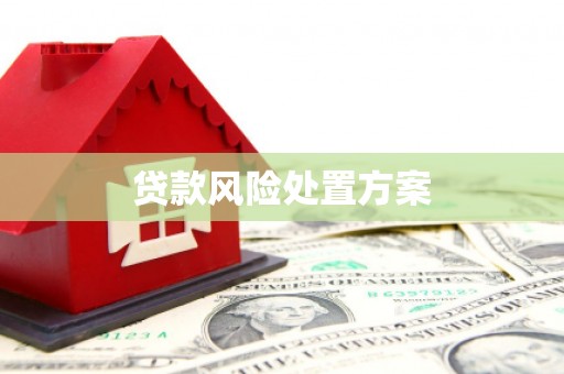 云霄贷款风险处置方案