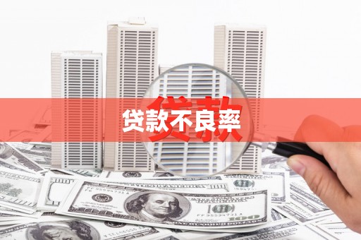 云霄贷款不良率