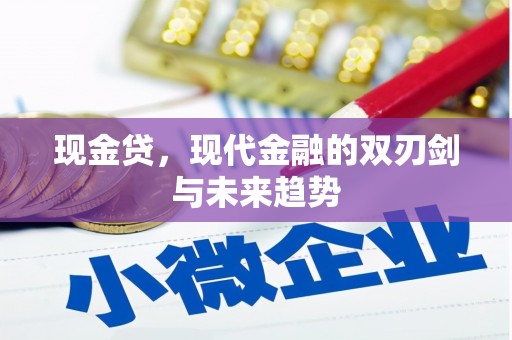 云霄现金贷，现代金融的双刃剑与未来趋势