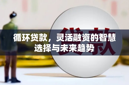 云霄循环贷款，灵活融资的智慧选择与未来趋势