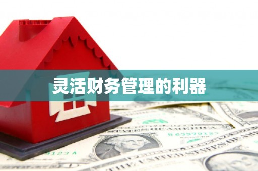 云霄灵活财务管理的利器