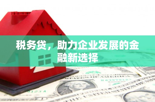 云霄税务贷，助力企业发展的金融新选择