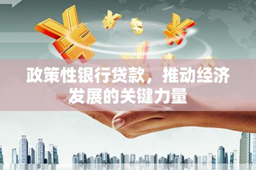 云霄政策性银行贷款，推动经济发展的关键力量