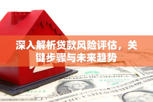 云霄深入解析贷款风险评估，关键步骤与未来趋势