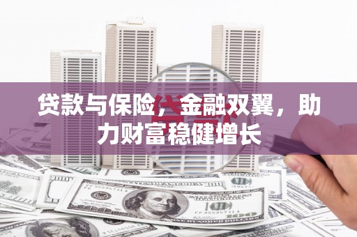 云霄贷款与保险，金融双翼，助力财富稳健增长