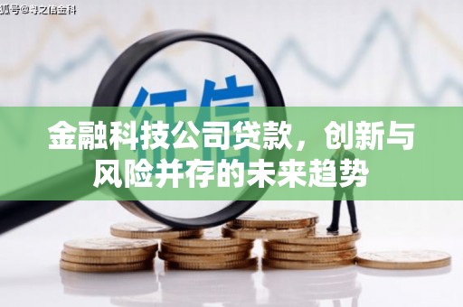 云霄金融科技公司贷款，创新与风险并存的未来趋势