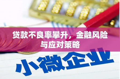 云霄贷款不良率攀升，金融风险与应对策略