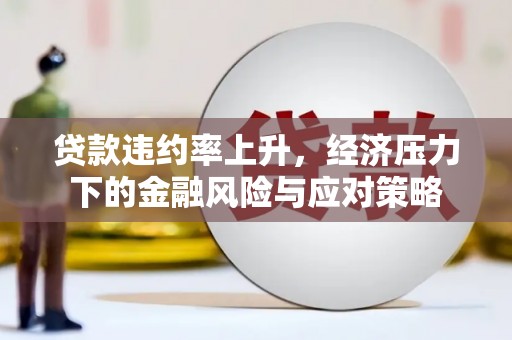 云霄贷款违约率上升，经济压力下的金融风险与应对策略