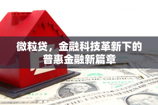 云霄微粒贷，金融科技革新下的普惠金融新篇章