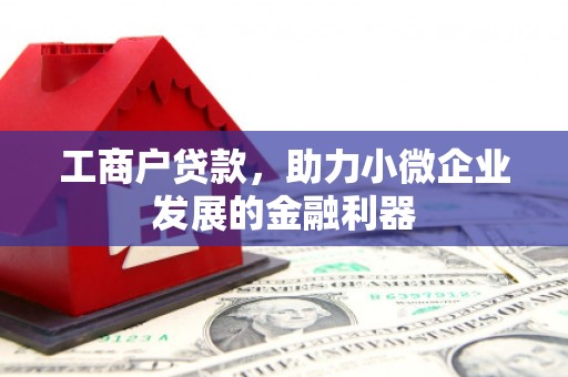 云霄工商户贷款，助力小微企业发展的金融利器