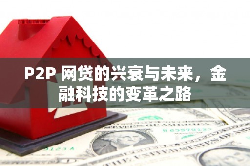 云霄P2P 网贷的兴衰与未来，金融科技的变革之路
