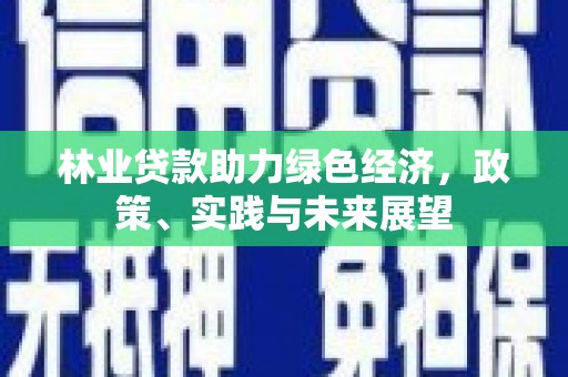 云霄林业贷款助力绿色经济，政策、实践与未来展望