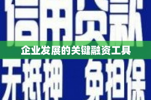 云霄企业发展的关键融资工具