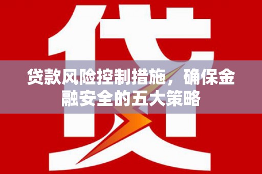 云霄贷款风险控制措施，确保金融安全的五大策略