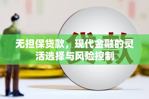 云霄无担保贷款，现代金融的灵活选择与风险控制