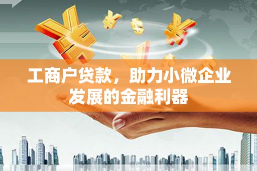 云霄工商户贷款，助力小微企业发展的金融利器