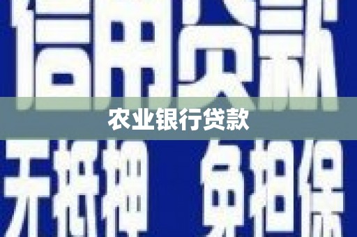 云霄农业银行贷款