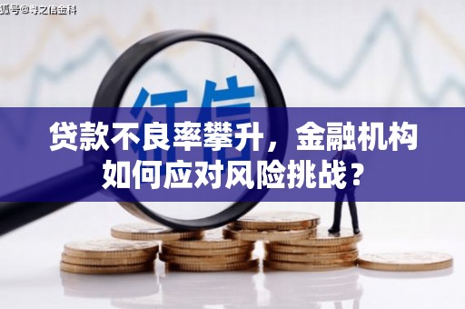 云霄贷款不良率攀升，金融机构如何应对风险挑战？