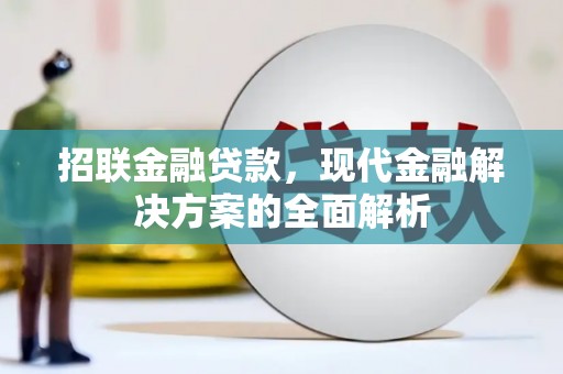云霄招联金融贷款，现代金融解决方案的全面解析
