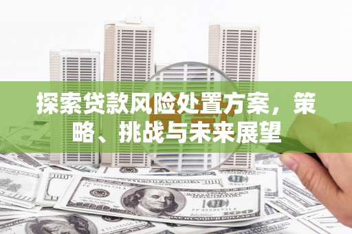 云霄探索贷款风险处置方案，策略、挑战与未来展望