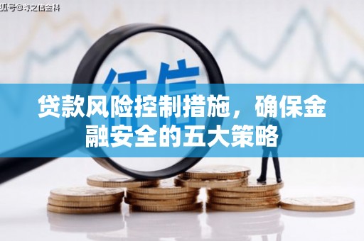 云霄贷款风险控制措施，确保金融安全的五大策略