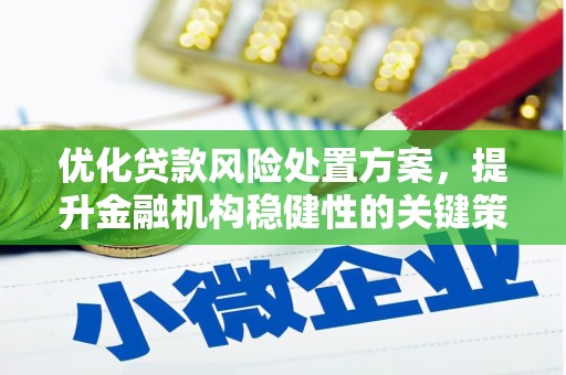 云霄优化贷款风险处置方案，提升金融机构稳健性的关键策略