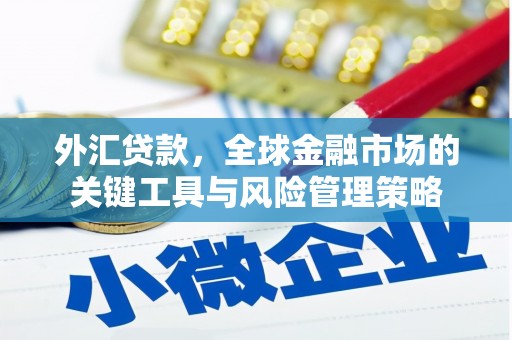 云霄外汇贷款，全球金融市场的关键工具与风险管理策略