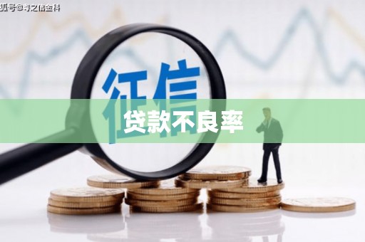 云霄贷款不良率