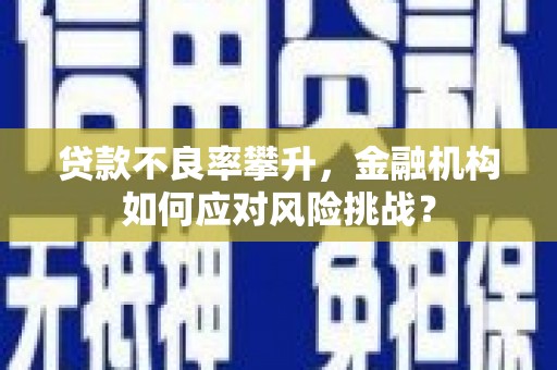 云霄贷款不良率攀升，金融机构如何应对风险挑战？