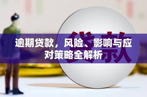 云霄逾期贷款，风险、影响与应对策略全解析