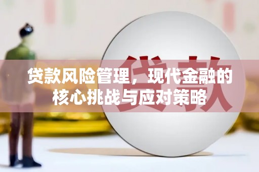云霄贷款风险管理，现代金融的核心挑战与应对策略