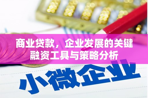 云霄商业贷款，企业发展的关键融资工具与策略分析