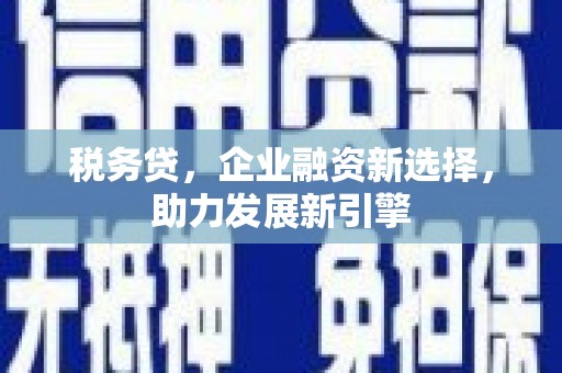 云霄税务贷，企业融资新选择，助力发展新引擎